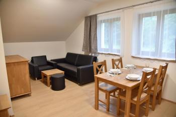 EFI ApartHotel Horní Lipová - living room